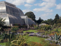 Free tickets to Kew Gardens