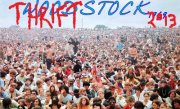 THRIFTSTOCK 2013