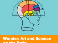 Wonder: Art and Science on the Brain