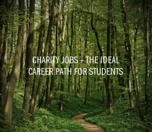 Charity Jobs – The Ideal Career Path for Students