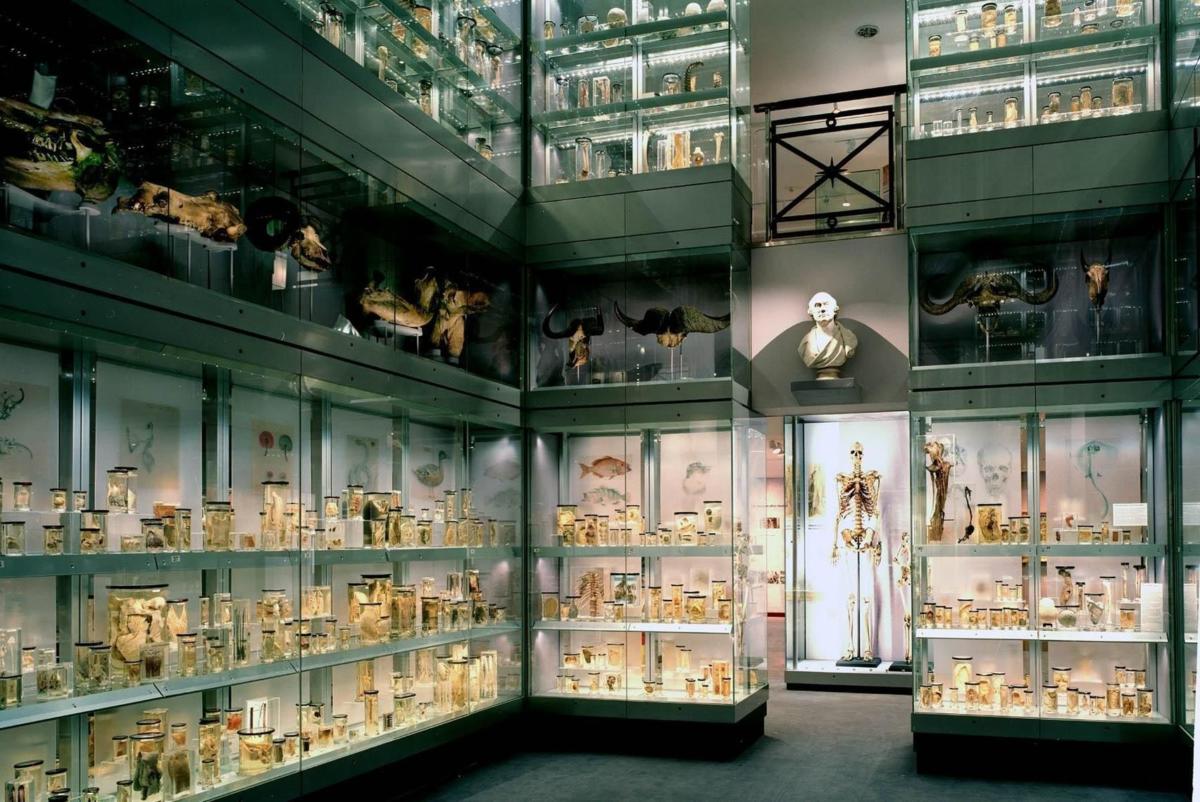 Top 15 free small museums in London