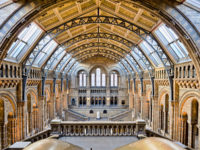 Budget-Friendly Attractions for Families: London’s Amazing Museums