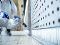 How To Choose The Best Pest Control Service In The UK