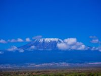 Kilimanjaro Training Plan: The Ultimate Guide