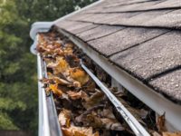 The Visible Benefits of Professional Gutter Cleaning